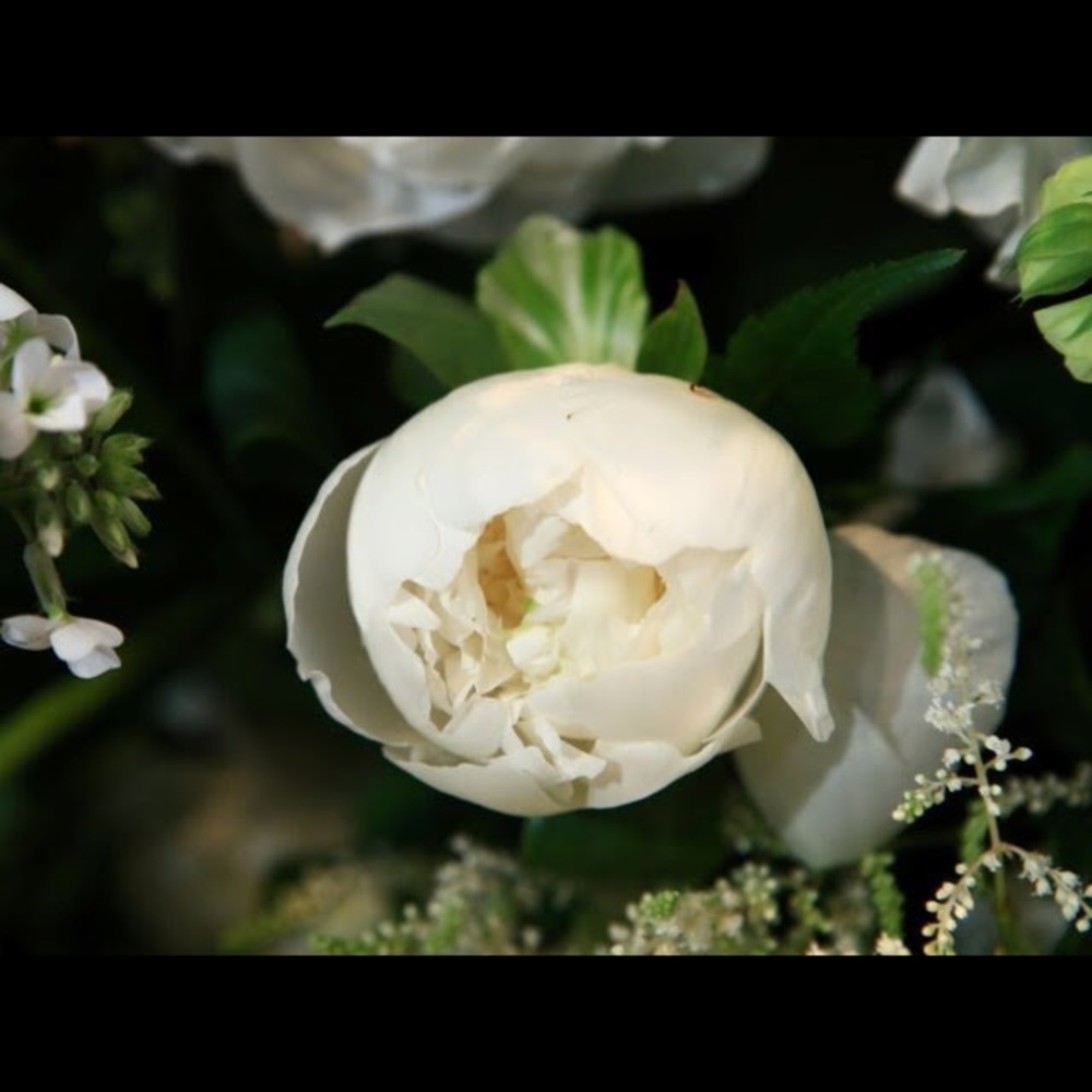 Meet your Posher, Lisa